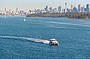Whale Watching - AM cruise