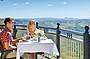 Rainforest, Views & Montville Day Tour Inc. Lunch