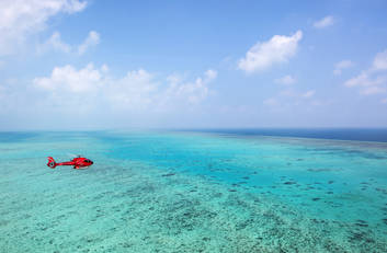 flying over the reef.