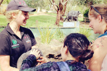 Bonorong Wildlife Sanctuary